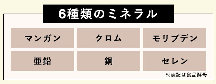 バンビウォーター プロテインシェイクの説明画像10