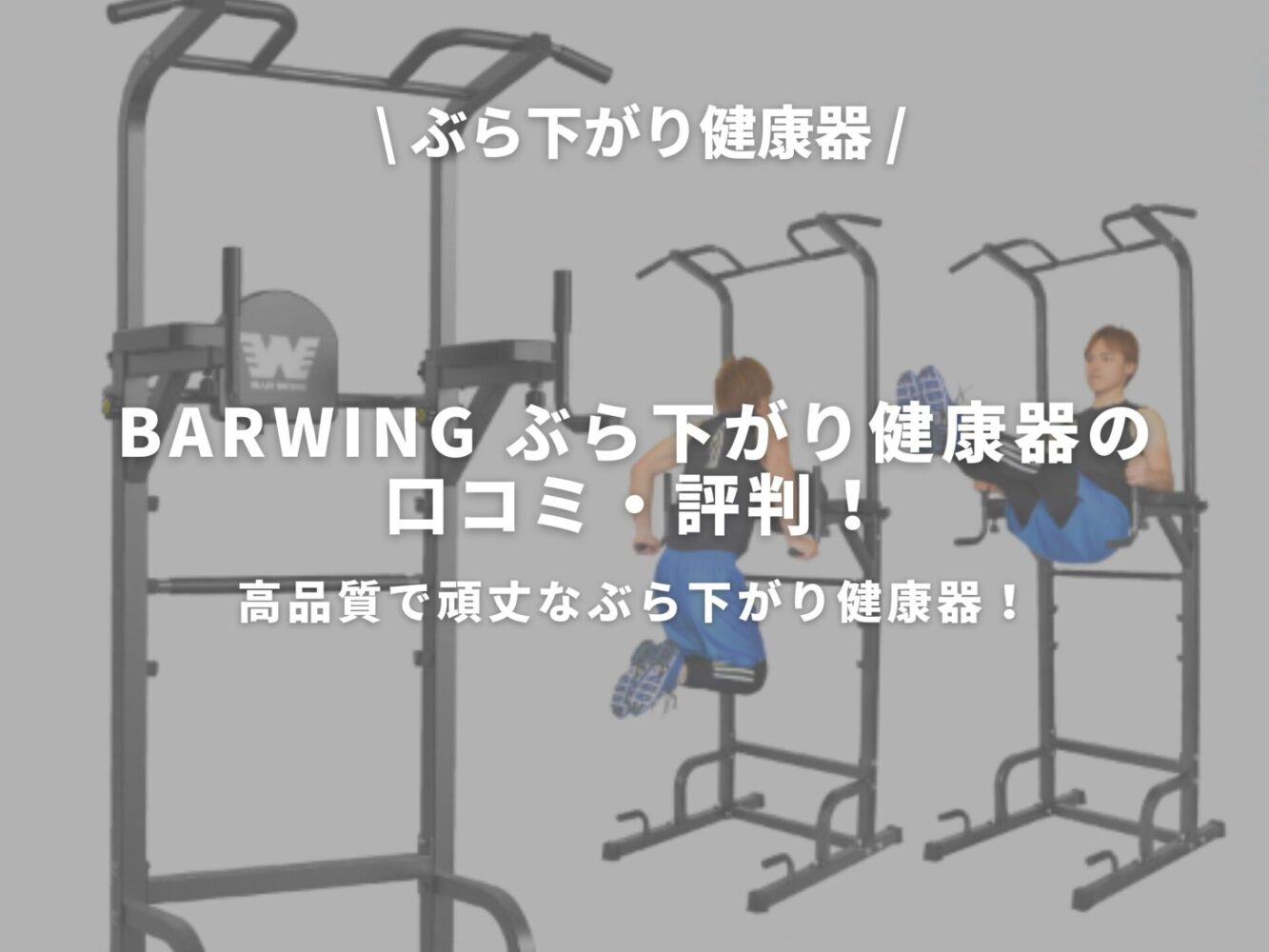 BARWING ぶら下がり健康器のアイキャッチ画像